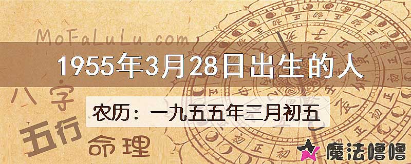 1955年3月28日出生的八字怎么样？