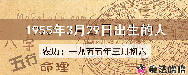 1955年3月29日出生的八字怎么样？