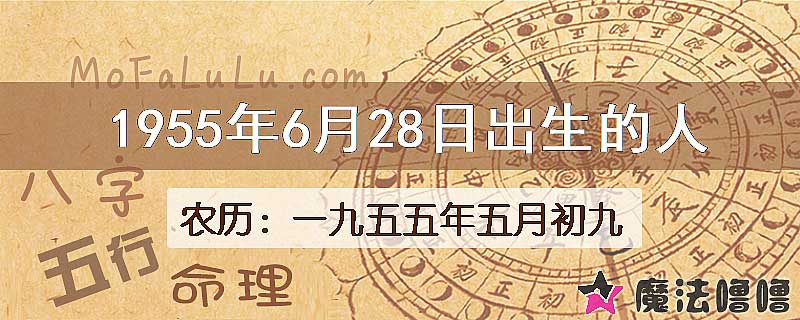 1955年6月28日出生的八字怎么样？