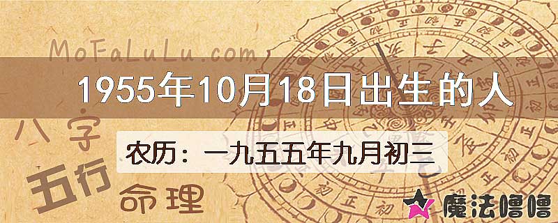 1955年10月18日出生的八字怎么样？