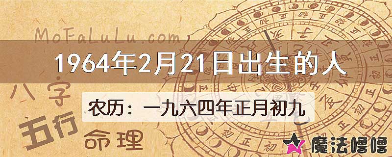 1964年2月21日出生的八字怎么样？