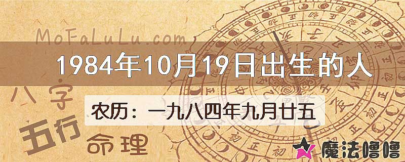 1984年10月19日出生的八字怎么样？