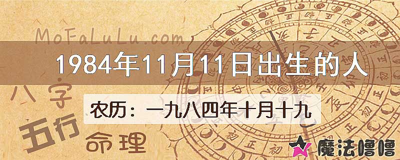 1984年11月11日出生的八字怎么样？