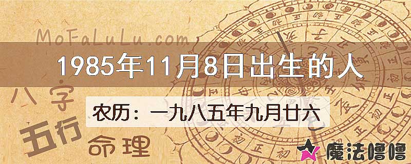 1985年11月8日出生的八字怎么样？