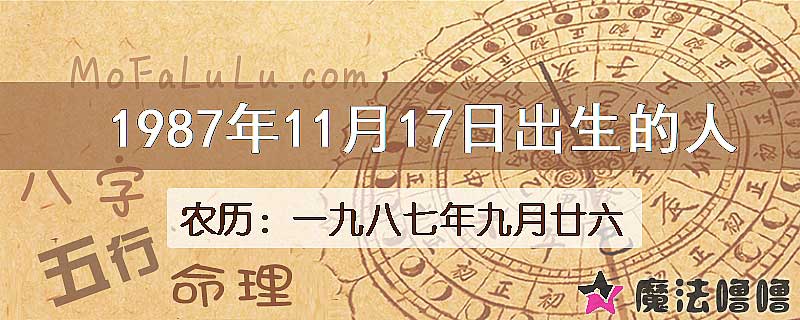 1987年11月17日出生的八字怎么样？