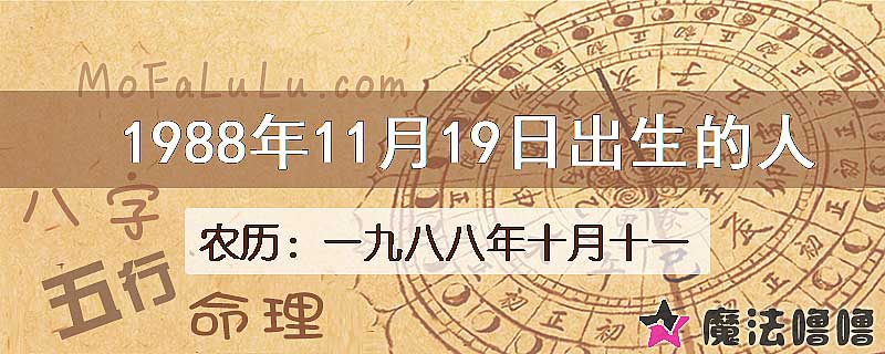 1988年11月19日出生的八字怎么样？