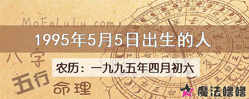 1995年5月5日出生的八字怎么样？