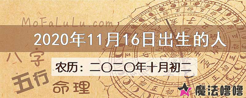 2020年11月16日出生的八字怎么样？