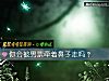 《你会被男票牵着鼻子走吗?》测试