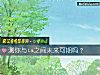 《测你与ta之间未来可期吗?》测试