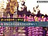 《测现在的你还能等到宿命姻缘吗?》测试