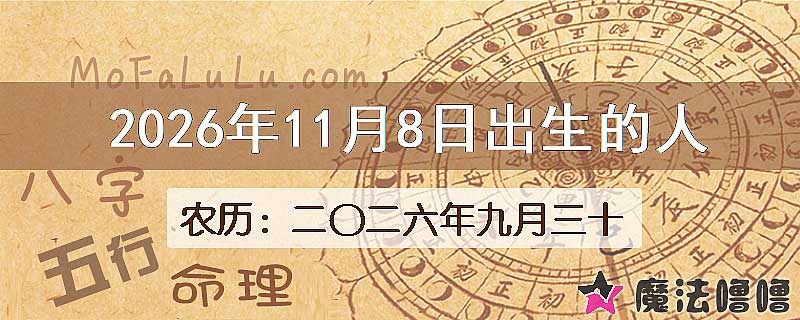 2026年11月8日出生的八字怎么样？