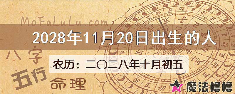 2028年11月20日出生的八字怎么样？