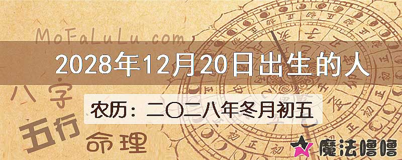 2028年12月20日出生的八字怎么样？