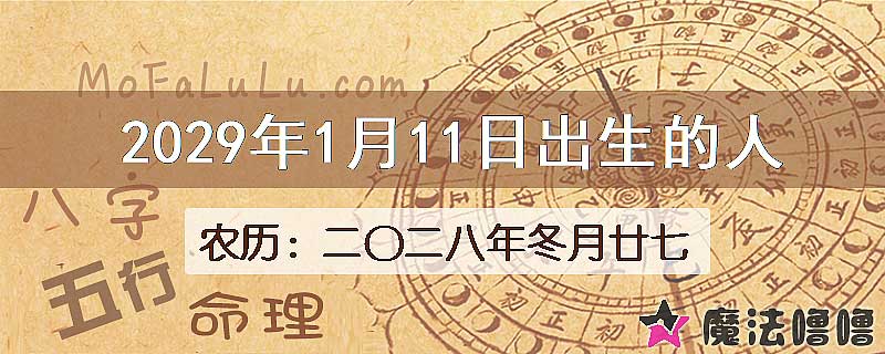 2029年1月11日出生的八字怎么样？