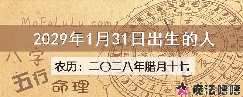 2029年1月31日出生的八字怎么样？