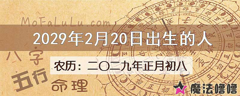 2029年2月20日出生的八字怎么样？