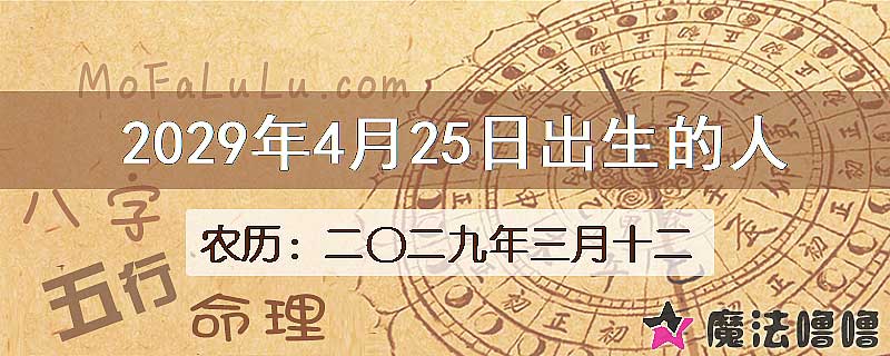 2029年4月25日出生的八字怎么样？