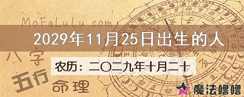 2029年11月25日出生的八字怎么样？