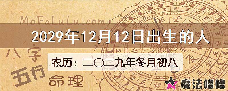 2029年12月12日出生的八字怎么样？