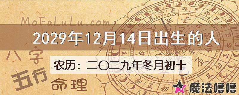 2029年12月14日出生的八字怎么样？