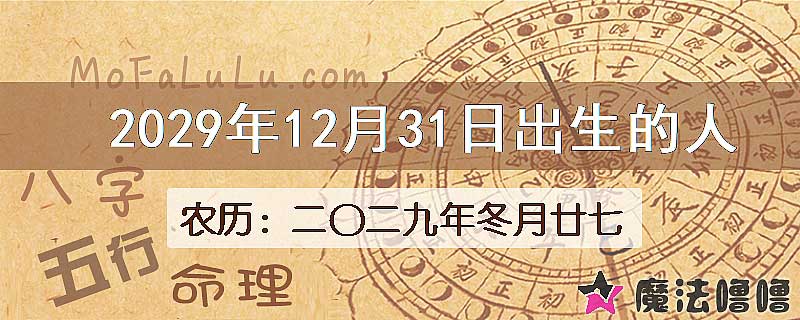 2029年12月31日出生的八字怎么样？