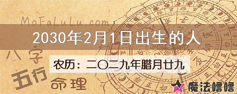2030年2月1日出生的八字怎么样？