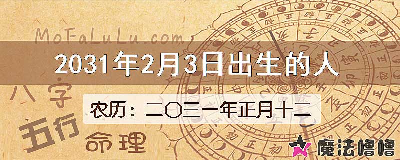 2031年2月3日出生的八字怎么样？