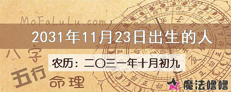 2031年11月23日出生的八字怎么样？