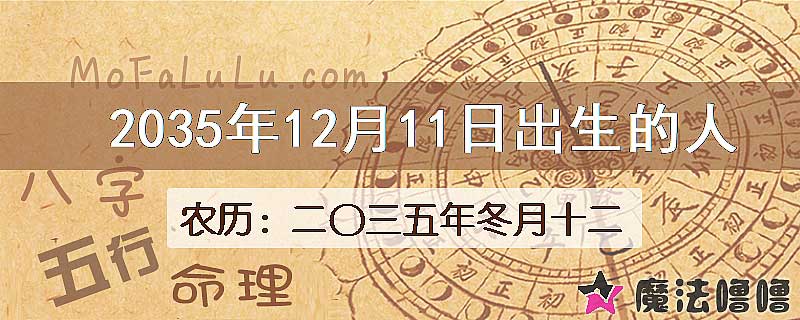 2035年12月11日出生的八字怎么样？
