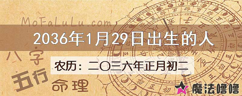 2036年1月29日出生的八字怎么样？