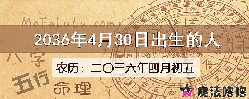 2036年4月30日出生的八字怎么样？