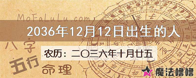 2036年12月12日出生的八字怎么样？