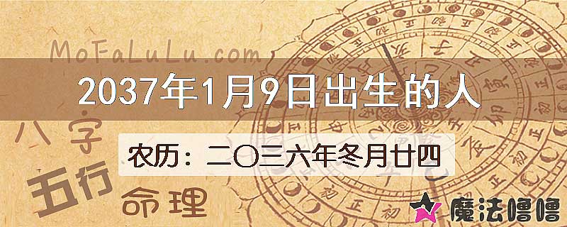 2037年1月9日出生的八字怎么样？