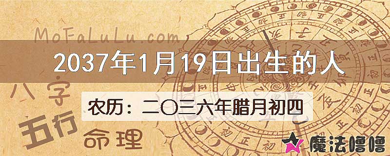 2037年1月19日出生的八字怎么样？