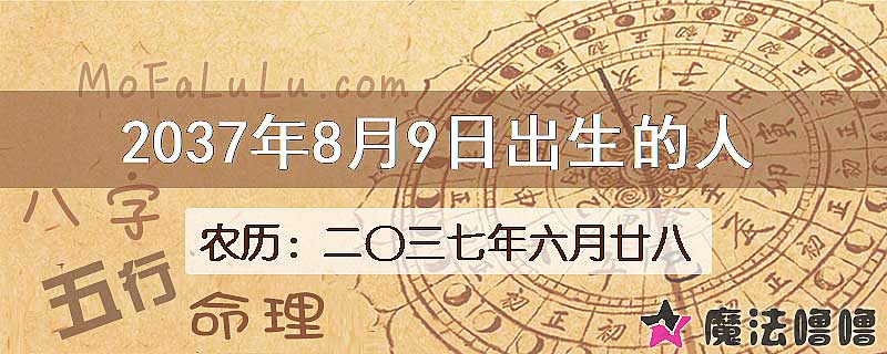 2037年8月9日出生的八字怎么样？