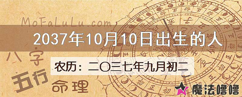 2037年10月10日出生的八字怎么样？