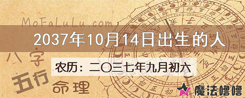 2037年10月14日出生的八字怎么样？