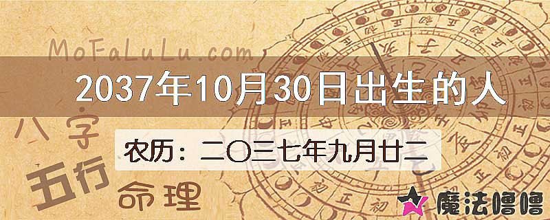 2037年10月30日出生的八字怎么样？