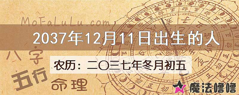 2037年12月11日出生的八字怎么样？