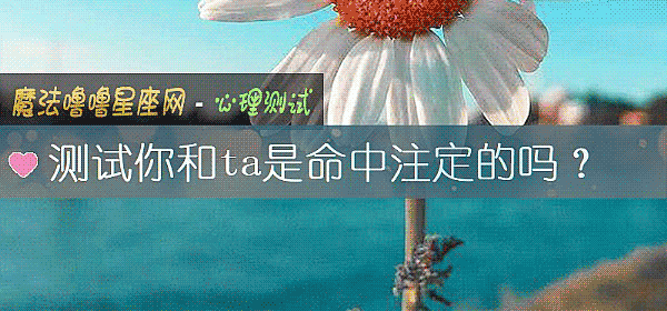 测试你和ta是命中注定的吗？