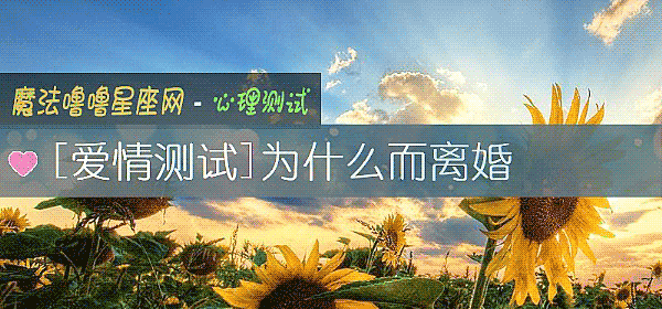 为什么而离婚