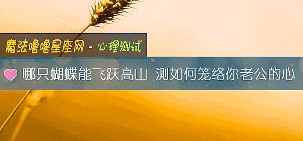哪只蝴蝶能飞跃高山 测如何笼络你老公的心