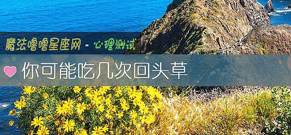 你可能吃几次回头草