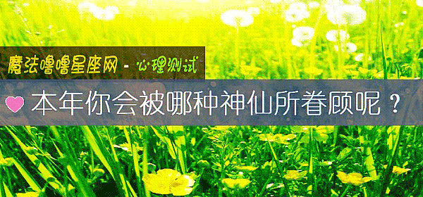 本年你会被哪种神仙所眷顾呢？