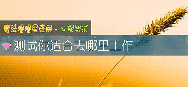 测试你适合去哪里工作