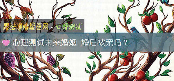 心理测试未来婚姻 婚后被宠吗？