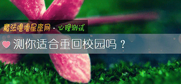 测你适合重回校园吗？