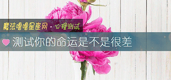 测试你的命运是不是很差