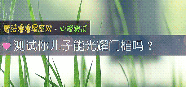 测试你儿子能光耀门楣吗？
